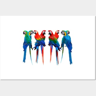 Beautiful Macaws. The Scarlet Macaw, Greenwing Macaw and The Blue and Gold Macaw lovely design for parrot lovers. Posters and Art